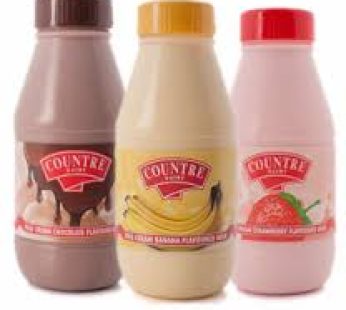 Countre Dairy Flavored Milk (20pcs)