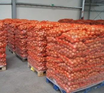 50 lbs Onions